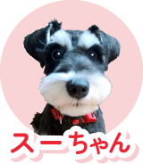 スーちゃん